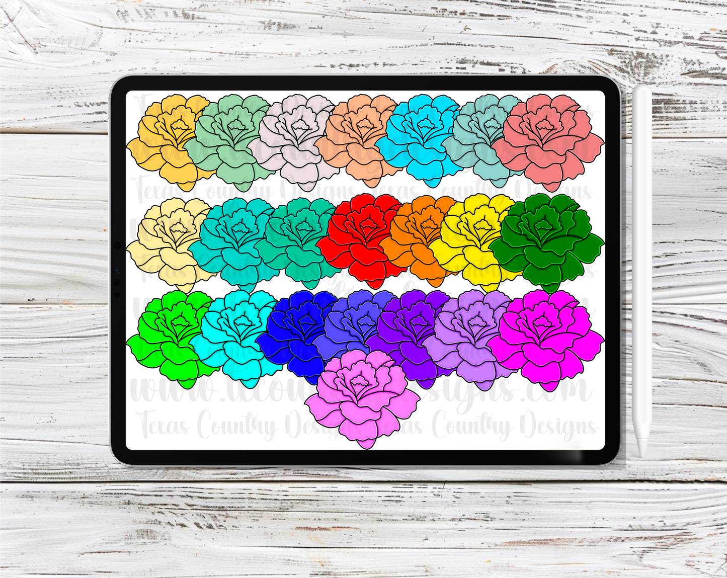 Carnations Clipart Set