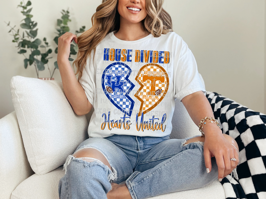CUSTOM REQUEST: House Divided Hearts United